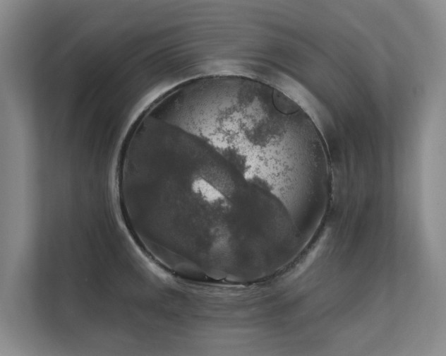 X0000111381141200907101121