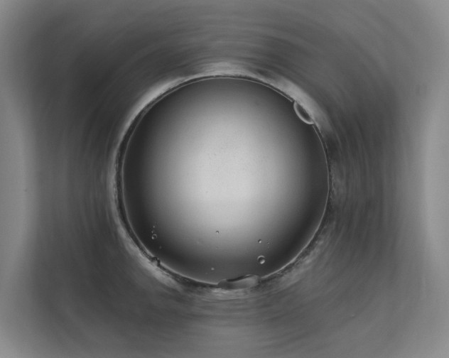 X0000111381142200907101121