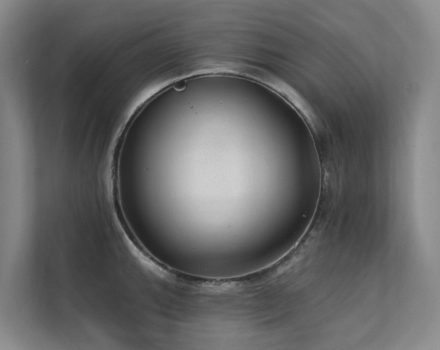 X0000111381143200907101121