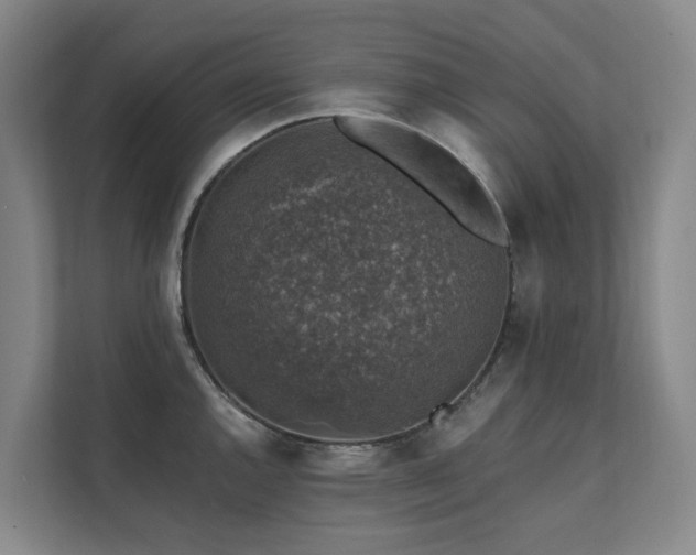 X0000111381144200907101121
