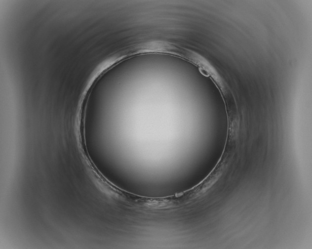 X0000111381146200907101121