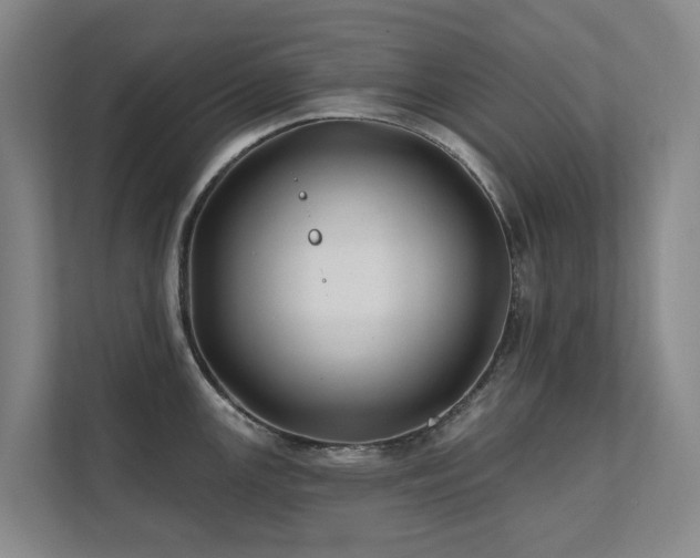 X0000111381147200907101121