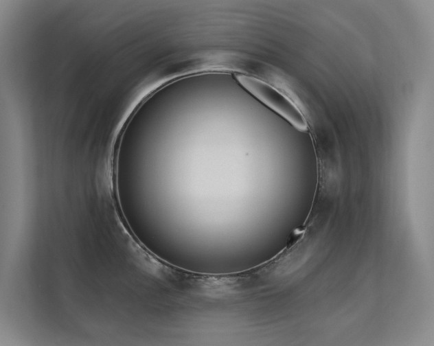 X0000111381148200907101121