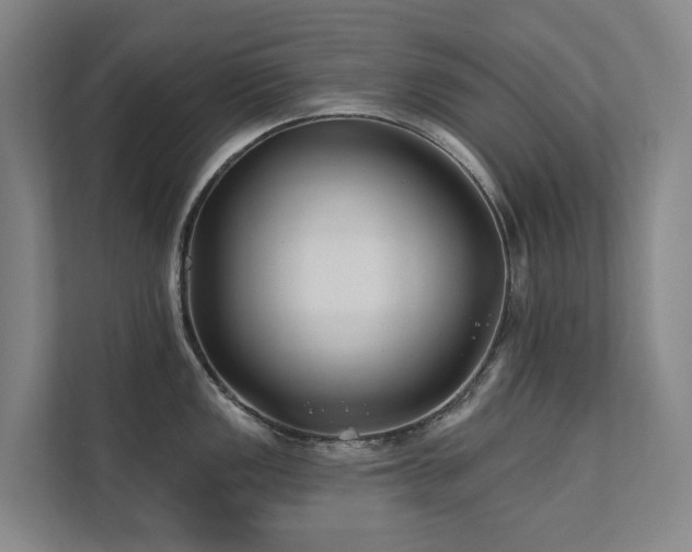 X0000111381149200907101121