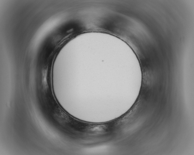 X0000111381150200907101121