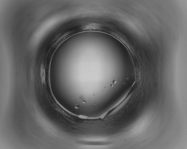 X0000111381151200907101121