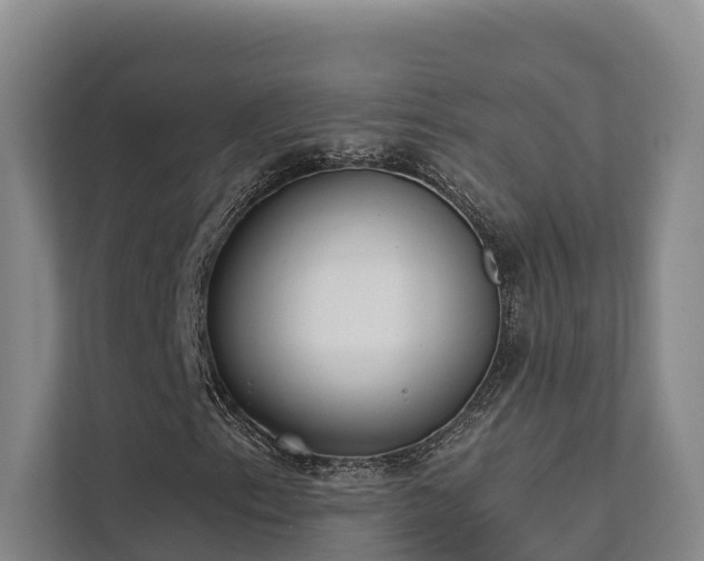 X0000111381153200907101120