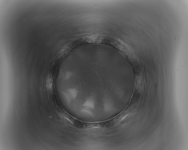 X0000111381154200907101120
