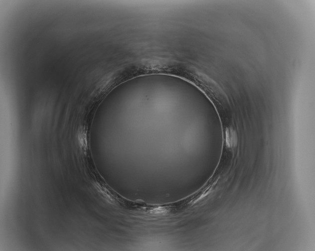 X0000111381155200907101120
