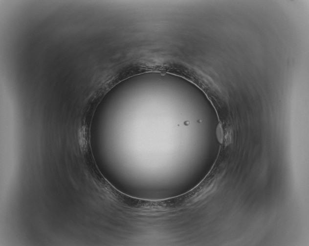 X0000111381156200907101120