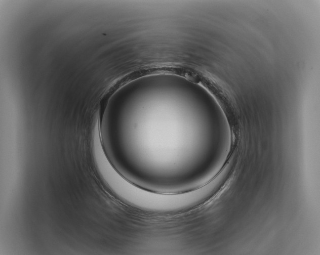 X0000111381161200907101120