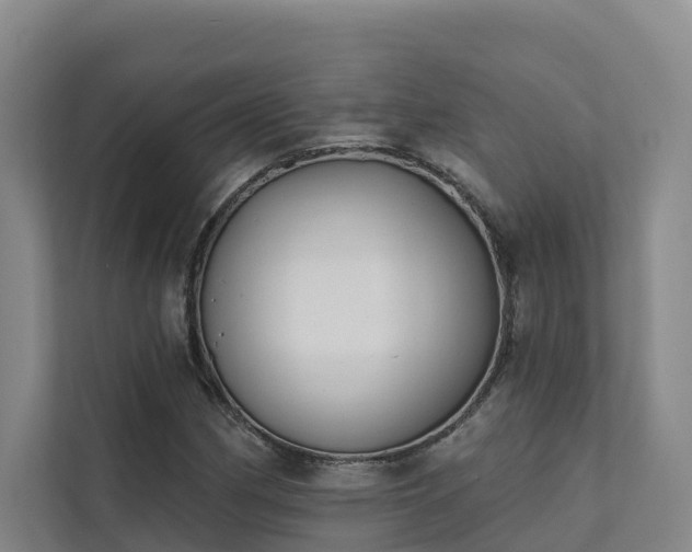 X0000111381162200907101120