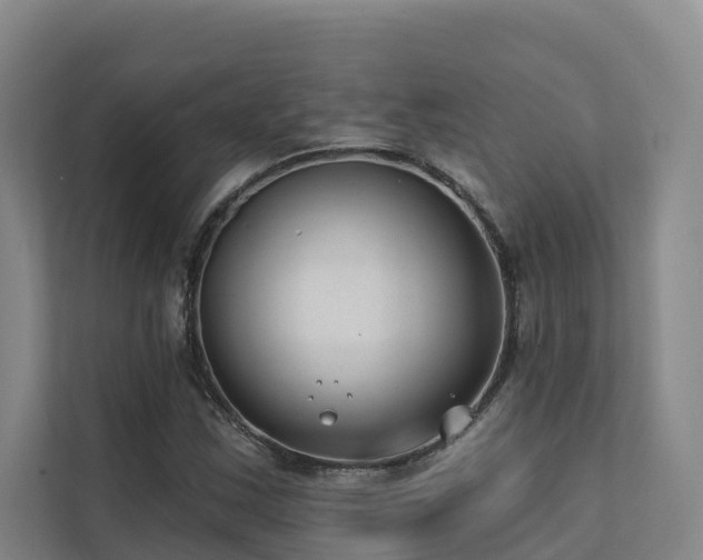 X0000111381163200907101120