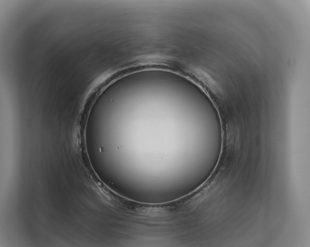 X0000111381164200907101120
