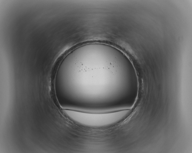 X0000111381165200907101120