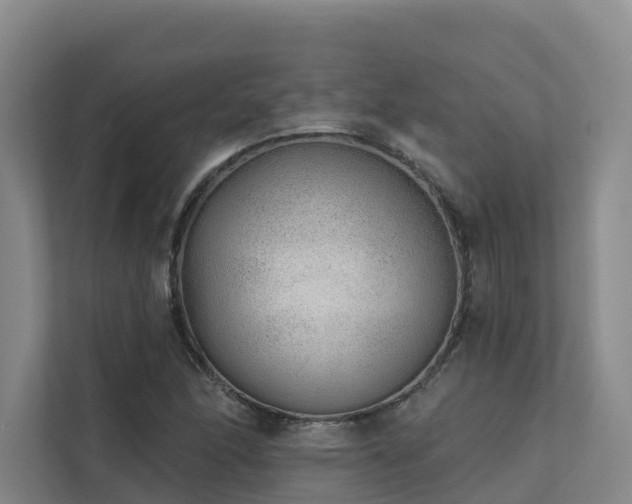 X0000111381166200907101120