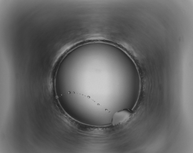 X0000111381167200907101120