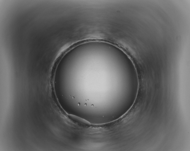 X0000111381168200907101120