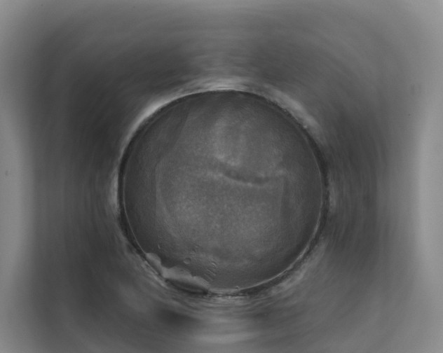 X0000111381174200907101120