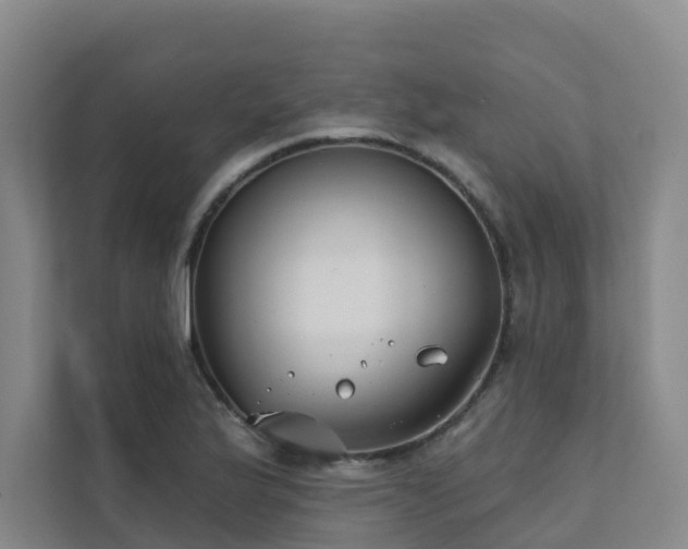 X0000111381175200907101120
