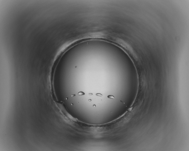 X0000111381176200907101120