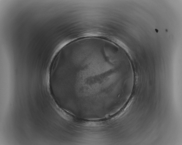 X0000111381179200907101120