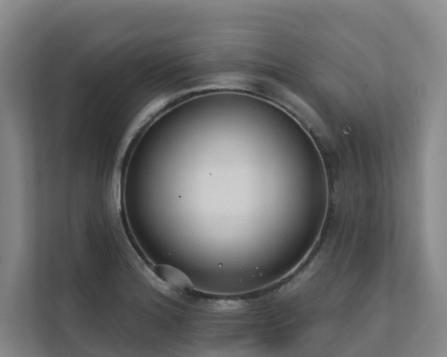 X0000111381180200907101120