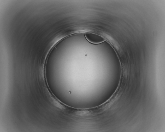 X0000111381186200907101120