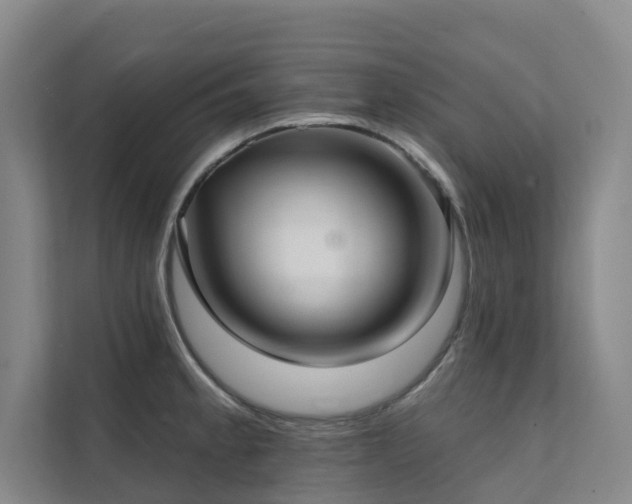 X0000111381189200907101120