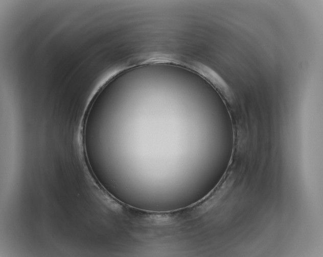 X0000111381190200907101120