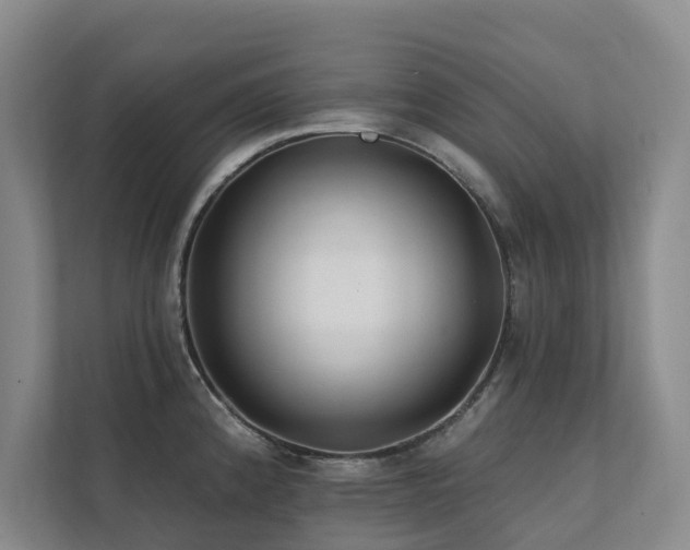 X0000111381192200907101120