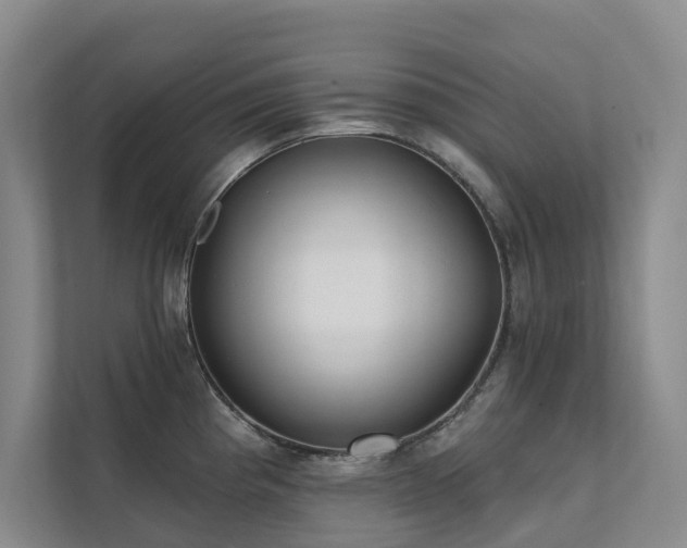 X0000111381193200907101120