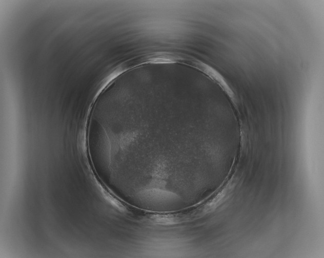 X0000111381194200907101120