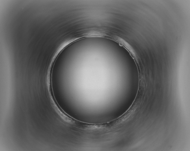 X0000111381195200907101120