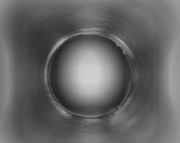 X0000111381196200907101120