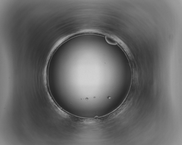 X0000111381199200907101120