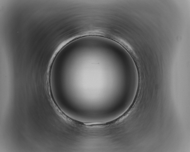 X0000111381200200907101120
