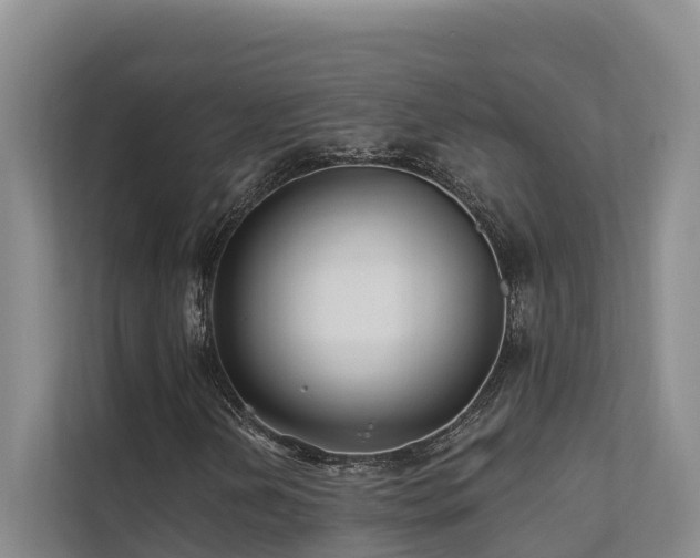 X0000111381202200907101119