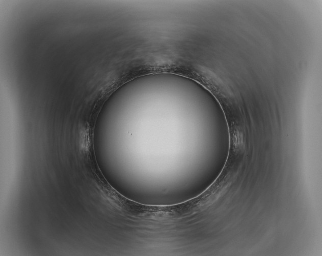 X0000111381204200907101119