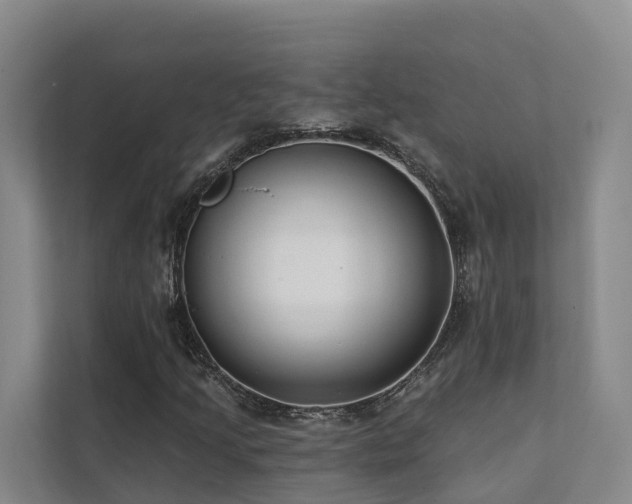 X0000111381205200907101119