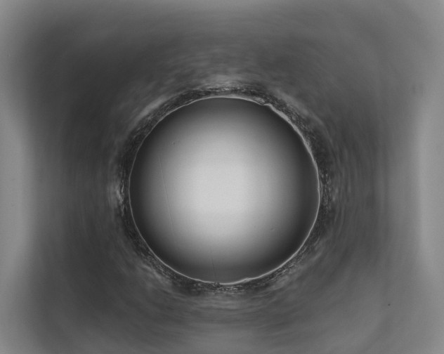 X0000111381206200907101119