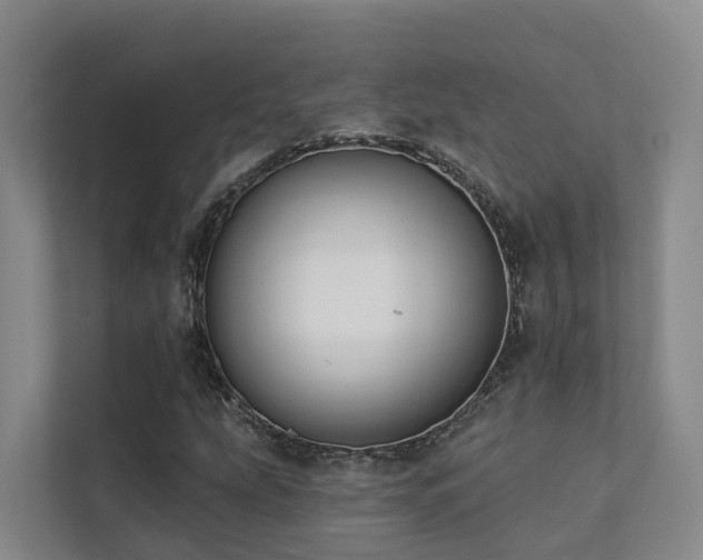 X0000111381207200907101119