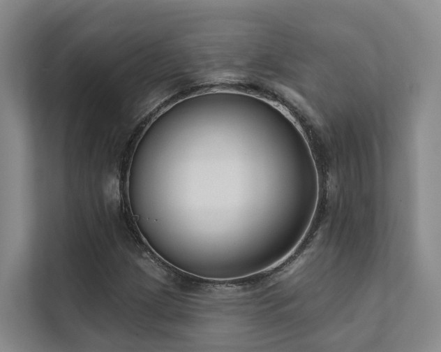 X0000111381209200907101119