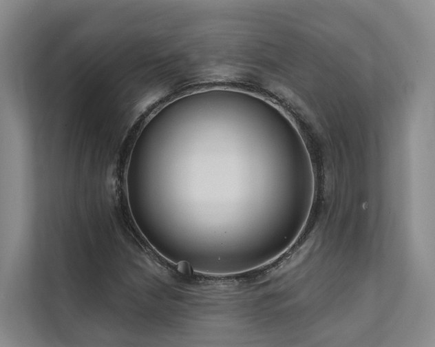 X0000111381210200907101119