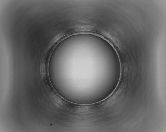 X0000111381211200907101119