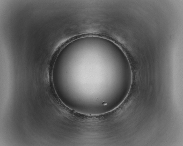 X0000111381214200907101119