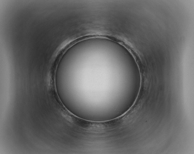 X0000111381215200907101119