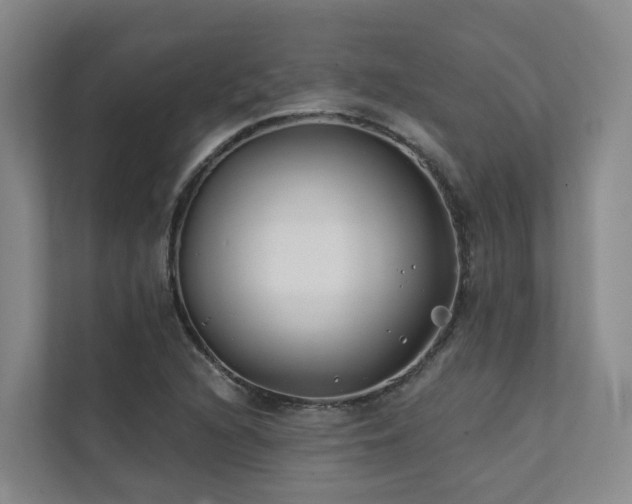 X0000111381216200907101119