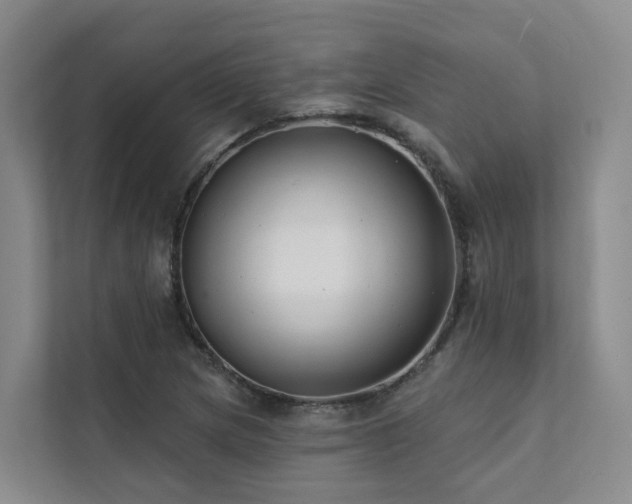 X0000111381217200907101119