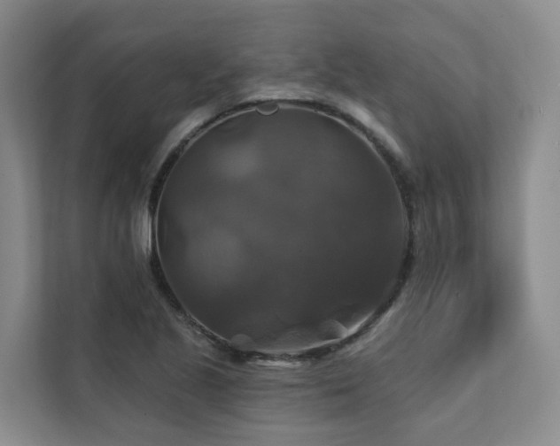 X0000111381221200907101119